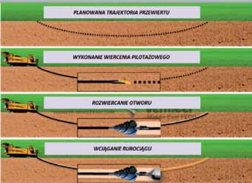 Fig-5.jpg