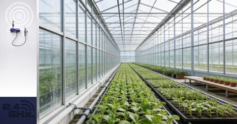 Greenhouse crop rows monitored with a BeanDevice 2.4GHz ONE-TH wireless temperature and humidity sensor for 24/7 environmental monitoring.