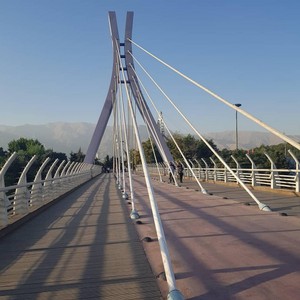 Vibration-monitoring-on-Cable-stayed-bridge-in-Jordan-4.jpg